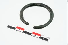 Foto von Bronzering (NHMW-PRAE-025361)